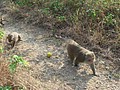 DSC06198.JPG