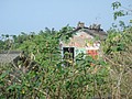 DSC06204.JPG