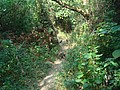 DSC06209.JPG