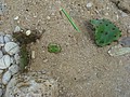 DSC06238.JPG