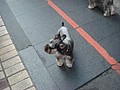 DSC06387.JPG