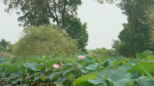 DSC09280.JPG