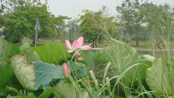 DSC09284.JPG