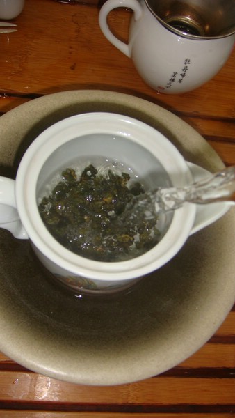 DSC09384.JPG