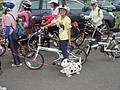 DSC06627.JPG