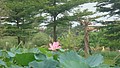 DSC09281.JPG