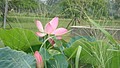DSC09283.JPG