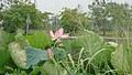 DSC09284.JPG