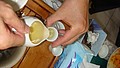 DSC09386.JPG