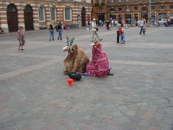 DSC07084.JPG