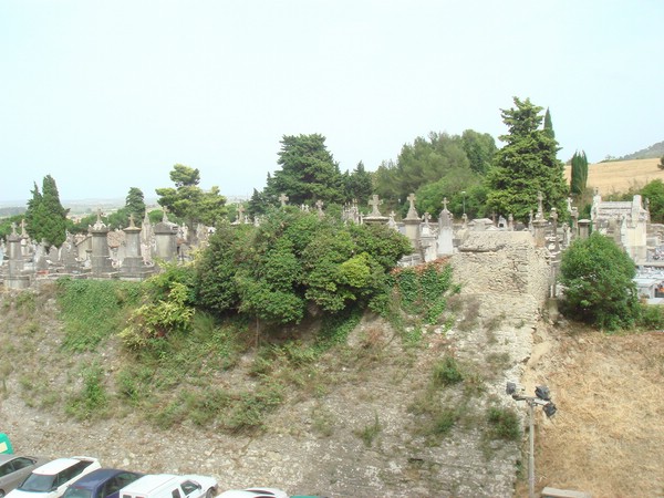 DSC07238.JPG