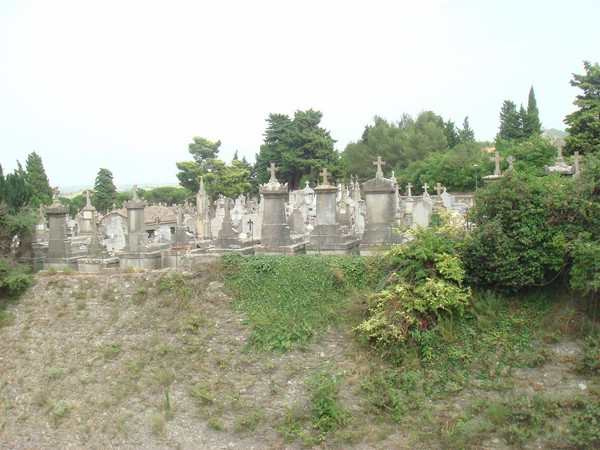 DSC07239.JPG
