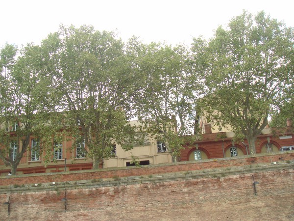 DSC07265.JPG