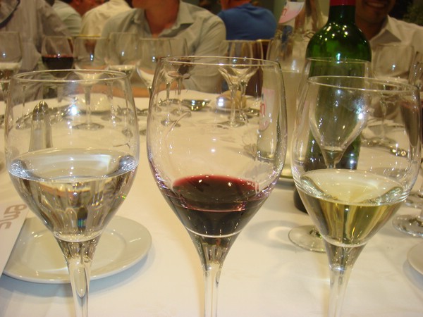DSC07308.JPG