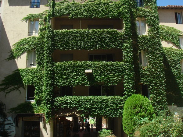 DSC07474.JPG