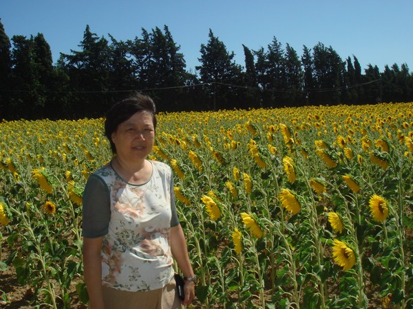 DSC07529.JPG