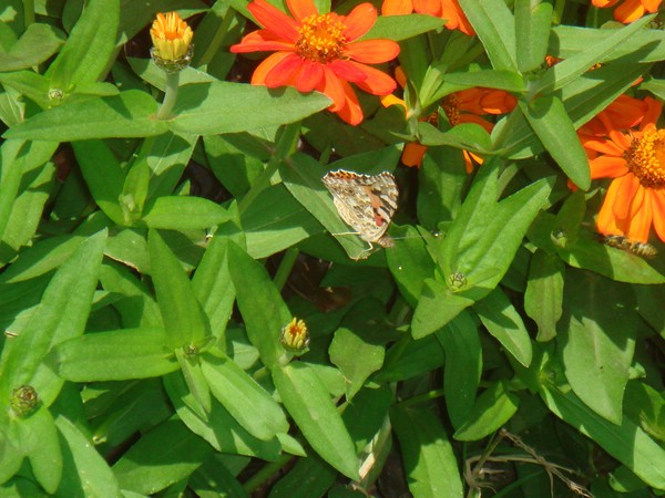 DSC07677.JPG