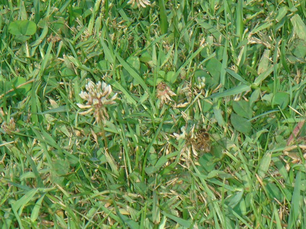 DSC07679.JPG