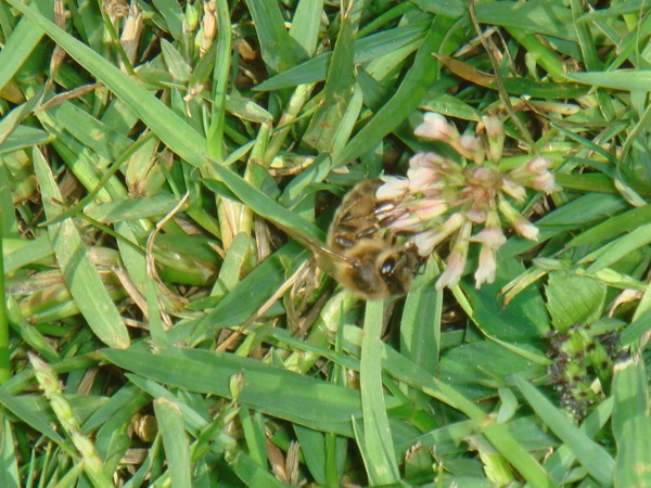 DSC07681.JPG