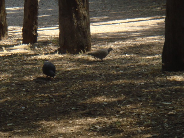 DSC07693.JPG