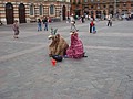 DSC07084.JPG