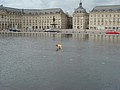 DSC07108.JPG