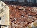 DSC07167.JPG