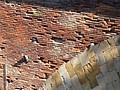 DSC07168.JPG