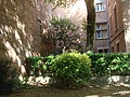 DSC07189.JPG