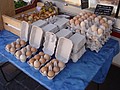 DSC07194.JPG