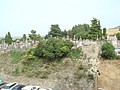 DSC07238.JPG