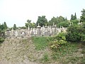 DSC07239.JPG