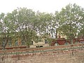 DSC07265.JPG