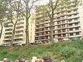 DSC07275.JPG