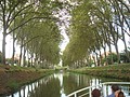DSC07277.JPG