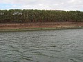 DSC07286.JPG