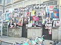 DSC07375.JPG