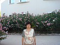 DSC07385.JPG