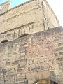 DSC07408.JPG