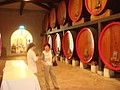 DSC07438.JPG
