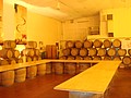 DSC07441.JPG