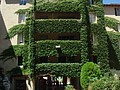 DSC07474.JPG