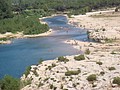 DSC07486.JPG