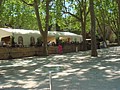 DSC07493.JPG