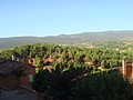 DSC07574.JPG