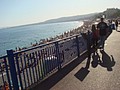 DSC07649.JPG