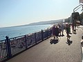 DSC07651.JPG
