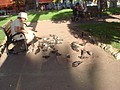 DSC07662.JPG