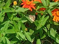 DSC07677.JPG