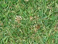 DSC07679.JPG